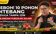 Dugaan Penebangan 10 Pohon Tanpa Izin di Bandung, LBI Ancam Turun ke Jalan Jika Tak Diproses Hukum