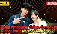 Kenapa Penggemar Crime, Comedy dan Action Wajib Nonton Flex X Cop 2? Ini 10 Daya Tarik Jin Yi Soo dan Joo Hye Ra