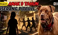 Kronologi Anak 9 Tahun Diserang Pitbull di Bandung 23 Agustus 2026, Anjing Lepas Saat Dijemur hingga Korban Jalani Operasi