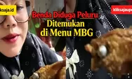Terungkap Status Kasus Benda Diduga Peluru di Menu MBG Sindangsari, SPPG Disuspend dan Masih Diselidiki