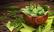 Minum Air Rebusan Daun Salam Setiap Hari, Apa Efeknya untuk Kesehatan?