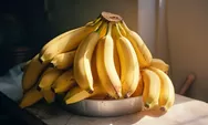 Kapan Waktu Terbaik Makan Pisang? Ini Manfaatnya untuk Tubuh