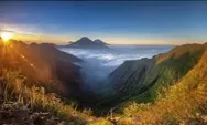  Gunung Bisma Wonosobo: Keindahan Tersembunyi yang Menantang Adrenalin