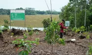 PHM dan SKK Migas Rehabilitasi 345 Hektare DAS di Hutan Lindung Kalimantan Timur