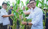 Panen Jagung dan Inovasi Urban Farming: Pindad Dukung Kelompok Maung Pantes