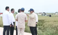 Peran BULOG di Balik Swasembada Pangan 2025, Dapat Apresiasi Langsung dari Presiden