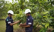 Satu Dekade Reklamasi Berkelanjutan, PT TIMAH Tbk Tanam Lebih dari 1,4 Juta Pohon di Bangka Belitung