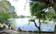 Situ Sidomukti Depok, Spot Mancing Tenang dengan Lele Jumbo yang Datang Alami