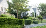 Aesthetic Sekaligus Bikin Teduh, 7 Pohon Terbaik untuk Ditanam di Halaman Rumah