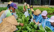 Ajak Anak Lebih Dekat dengan Alam, Intip Keseruan Wisata Kuntum Farmfield Bogor