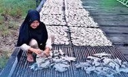 Perempuan Pesisir Kaltim, Kunci Tumbuhnya Ekonomi Keluarga dari Laut