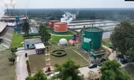ROA PalmCo Naik ke 7,9 Persen, Bukti Pengelolaan Aset BUMN Perkebunan Makin Solid