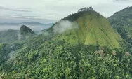 Tak Setinggi Gunung Lain di Magelang, Mendaki dan Turun Gunung Giyanti Bisa Dilakukan Setengah Hari Saja