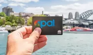 Panduan Lengkap Transportasi Umum di Sydney untuk Wisatawan dan Komuter