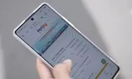 Transformasi Digital ASDP Berbuah Manis, Pengguna Tiket Online Ferizy Tembus 3,5 Juta di Awal 2026