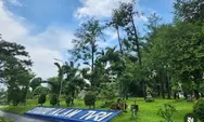 4 Ruang Hijau di Depok, Lokasi Menghirup Udara Segar dan Rekreasi Murah Meriah