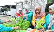 KreaSea Tumbuh Perkuat Green Terminal Tanjung Sekong Lewat Program Hidroponik Berbasis PLTS