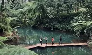 Murah dan Sejuk! Hutan Pinus Prabanlintang Tegal Jadi Tempat Healing Alam dengan Tiket Mulai Rp7.500