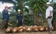 “Miniatur Indonesia” di Perkebunan Sawit, PTPN IV PalmCo Bangun SDM Inklusif untuk Dukung Ketahanan Energi