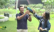 Terpesona Merdu dan Lucunya Tingkah Laku Beragam Burung di Aviary Park Indonesia, Bintaro