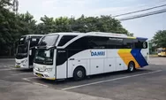 Jangan Panik, DAMRI Sediakan Tiket Arus Balik ke Jakarta dengan Pilihan Titik Turun Fleksibel