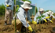 Respons Degradasi yang Terus Terjadi, Telkom Melakukan Penanaman Mangrove di Pesisir Semarang 