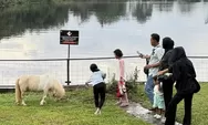 Ngabuburit Anti Bosen di Jasmine Park Cisauk, Sore Adem Ditemani Danau dan Satwa Lucu