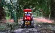 Air Molek 2 Siap Replanting 862 Hektare Sawit Renta pada 2026, Perkuat Produksi dan Keberlanjutan