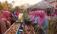 Tanah Tidur Disulap Jadi Ladang Harapan: Kisah KWT Kemuning Wujudkan Kemandirian Pangan dengan Dukungan Pertamina