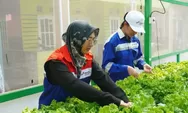 Program Pemberdayaan Perempuan Pertamina Patra Niaga Jangkau Puluhan Wilayah di Indonesia