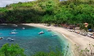 Gamat Bay, Teluk Cantik di Nusa Penida yang Menawarkan Pesona Pantai dan Keindahan Bawah Laut