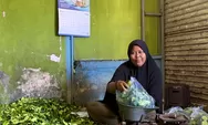 Dari Jual Daun Jeruk hingga Bangun Usaha, Kisah Nasabah PNM Mekaar Jadi Bukti Ketangguhan Perempuan