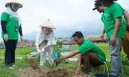 Hari Hutan Sedunia: PNM Genjot Penanaman Pohon, Dorong Kesadaran Lingkungan Berkelanjutan