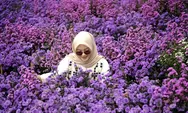 Surga Foto di Lembang, Hamparan Bunga Bukit Strawberry Lagi Cantik-Cantiknya