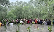 Bumi Berseru Fest Telkom Dorong Aksi Nyata Generasi Muda Jaga Mangrove dan Bekantan di Tarakan