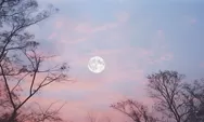 Awas Ketinggalan! Pink Moon 2026 Bisa Dinikmati dari Maghrib Hingga Subuh