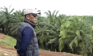 Antisipasi El Nino Godzilla, PTPN IV PalmCo Fokus pada Deteksi Dini dan Strategi Agronomi