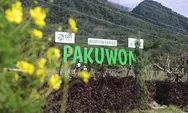 Desa Pajambon Tembus 15 Besar Desa BRILiaN Nasional, Bukti Nyata Transformasi Ekonomi Berbasis Potensi Lokal