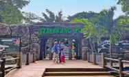 Liburan Hemat ke Semarang Zoo April 2026, Cek Promo Tiket dan Aktivitas Serunya!