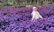 Hidden Gem Sentul yang Lagi Viral: Taman Bunga Putri Kemuning