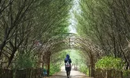 4 Taman Hutan di Surabaya, Tempat Rimbun di Tengah Terik Kota