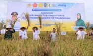 Panen Bersama di Tulungagung, BULOG Perkuat Stok Beras dan Ketahanan Pangan Nasional