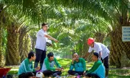 Ekspansi PalmCo Buka Lapangan Kerja Besar, Fokus pada Hilirisasi dan Energi Hijau