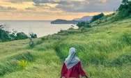 Platar Wakidi, Pacitan Punya Panorama Padang Rumput Hijau Berlatar Laut Lepas Seperti di Film Animasi