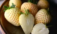 Buah dan Sayur Unggulan yang Unik dari Jepang, Munculnya Banyak di Musim Semi