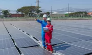 Dorong Solar PV Solution dan Bisnis Beyond kWh, PLN Indonesia Power Jalin Kerja Sama Pasar Karbon Global
