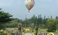 Lihat Hamparan Bunga dari Udara? Sekarang Naik Balon Udara di Taman Bunga Nusantara Lebih Mudah