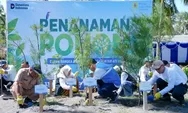 Hari Keanekaragaman Hayati, PLN EPI Tanam 2.500 Cemara Udang di Pesisir Lombok