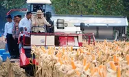 Panen Raya Jagung Kuartal II, BULOG Tingkatkan Kolaborasi dengan Polri