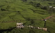 Kabut Gunung Dempo dan Kopi Pagar Alam, Kombinasi Wisata yang Sulit Dilupakan